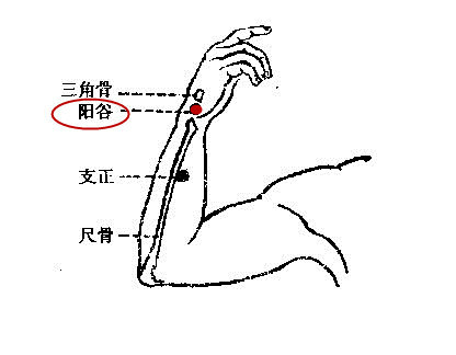 阳谷穴