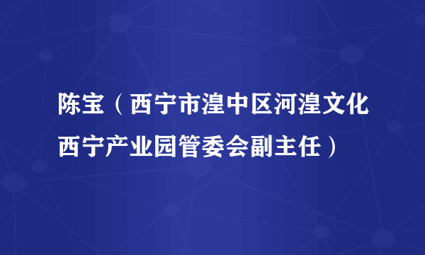 陈宝（西宁市湟中区河湟文化西宁产业园管委会副主任）