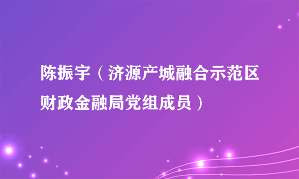 陈振宇（济源产城融合示范区财政金融局党组成员）