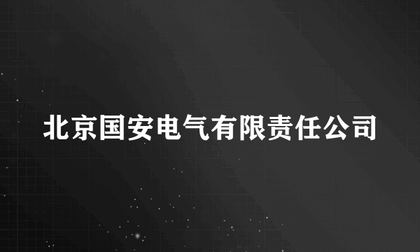 什么是北京国安电气有限责任公司