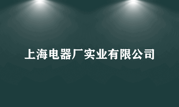 上海电器厂实业有限公司