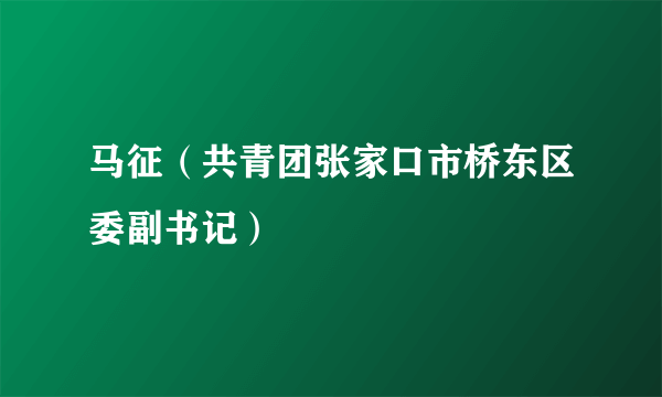 什么是马征（共青团张家口市桥东区委副书记）