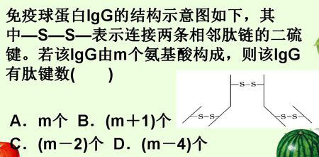 什么是人免疫球蛋白