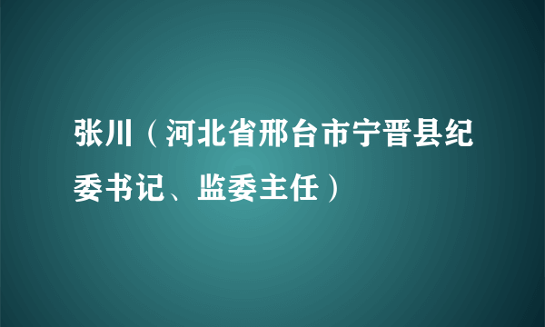 张川（河北省邢台市宁晋县纪委书记、监委主任）