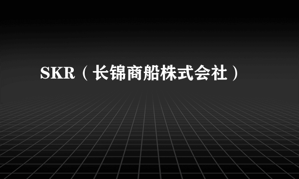 什么是SKR（长锦商船株式会社）