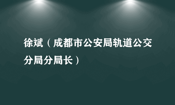 什么是徐斌（成都市公安局轨道公交分局分局长）