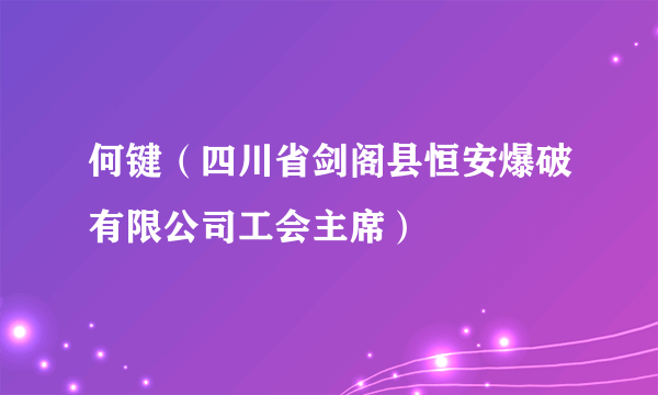 何键（四川省剑阁县恒安爆破有限公司工会主席）