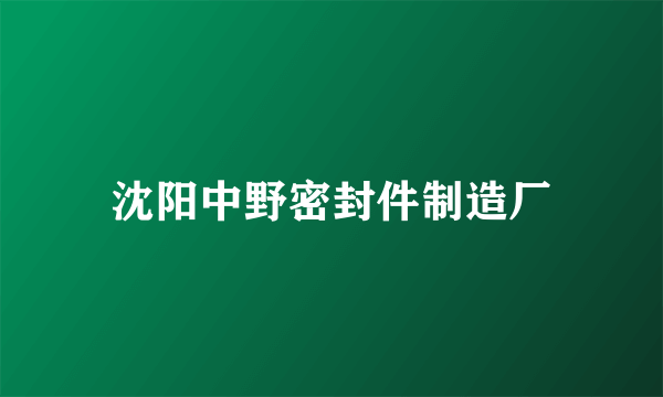 沈阳中野密封件制造厂