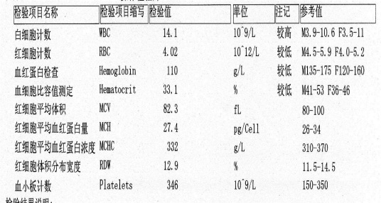 血常规血白细胞偏高