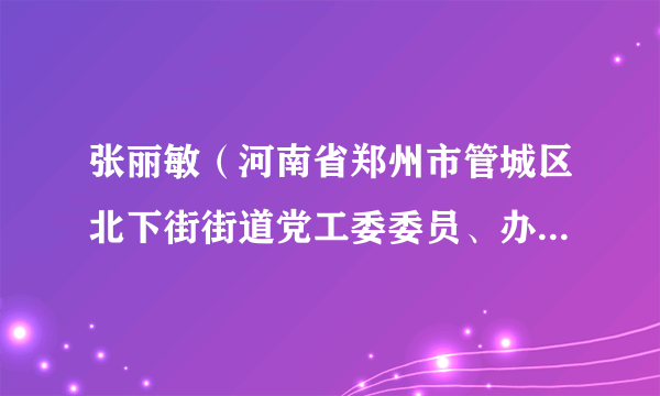 什么是张丽敏（河南省郑州市管城区北下街街道党工委委员、办事处副主任）