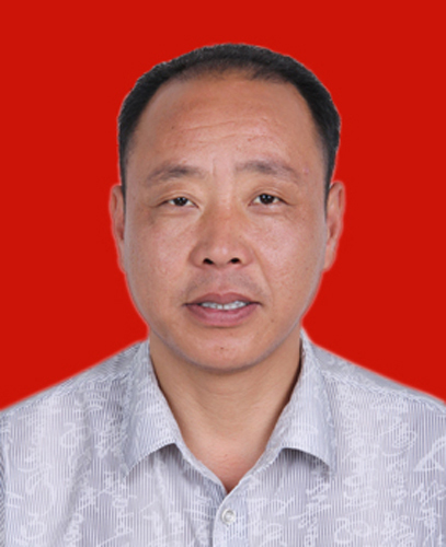 什么是陈宗伟（玉林市人民政府原副市长）