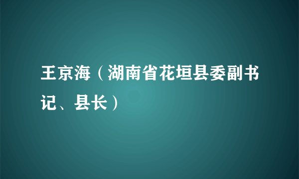 什么是王京海（湖南省花垣县委副书记、县长）