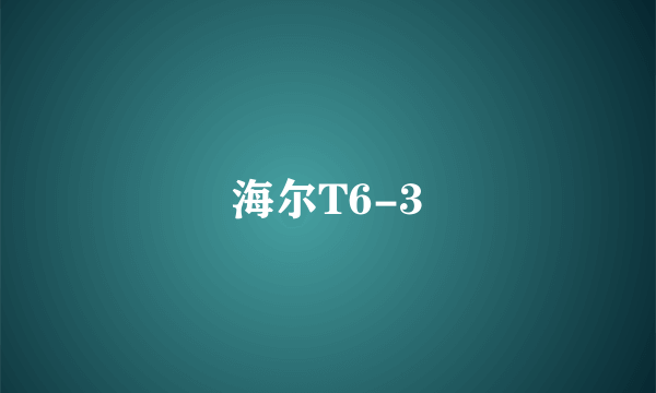 海尔T6-3