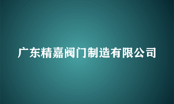 广东精嘉阀门制造有限公司