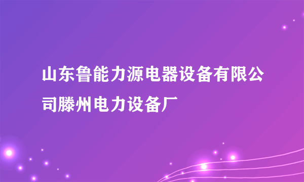 山东鲁能力源电器设备有限公司滕州电力设备厂