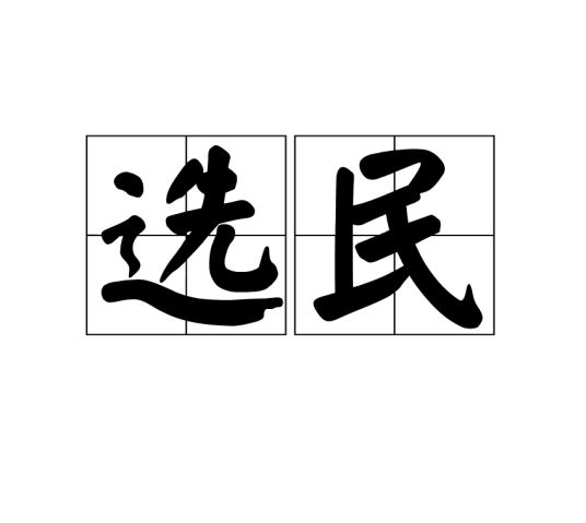 选民（有选举权的公民）