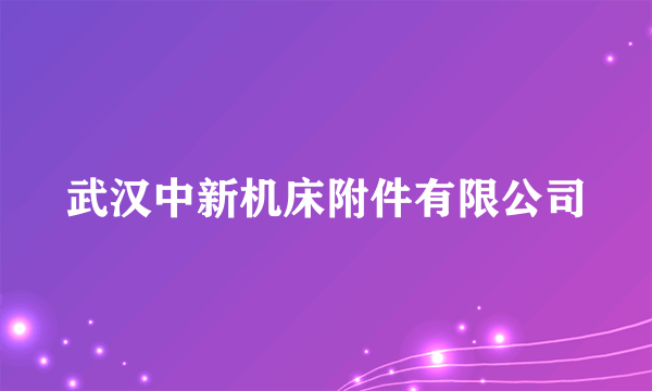 武汉中新机床附件有限公司