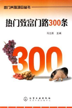 热门致富门路300条