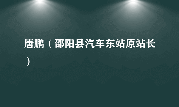 什么是唐鹏（邵阳县汽车东站原站长）