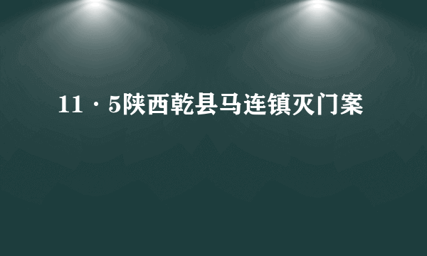 什么是11·5陕西乾县马连镇灭门案