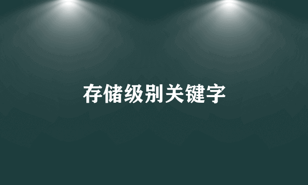 什么是存储级别关键字