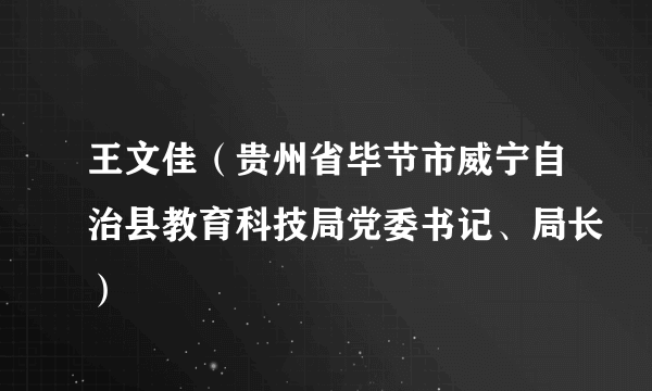 王文佳（贵州省毕节市威宁自治县教育科技局党委书记、局长）