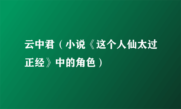 云中君（小说《这个人仙太过正经》中的角色）