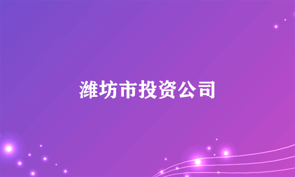 什么是潍坊市投资公司