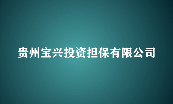 贵州宝兴投资担保有限公司