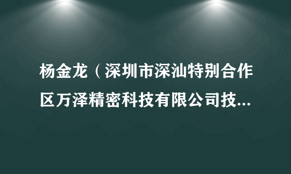 杨金龙（深圳市深汕特别合作区万泽精密科技有限公司技术研发总监）