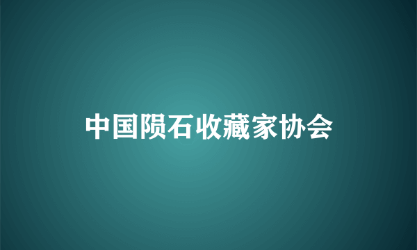 中国陨石收藏家协会