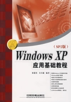 WindowsXP（SP2版）应用基础教程