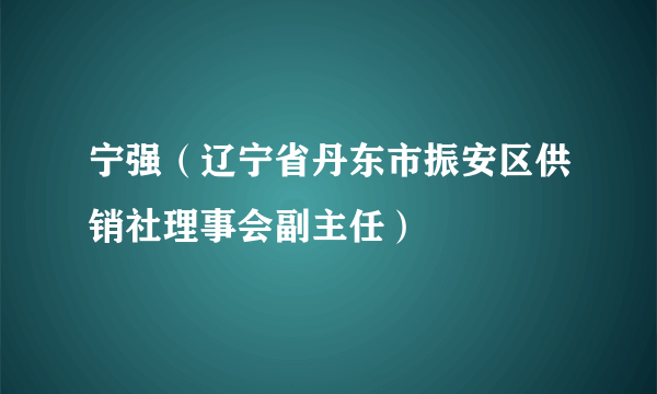 宁强（辽宁省丹东市振安区供销社理事会副主任）