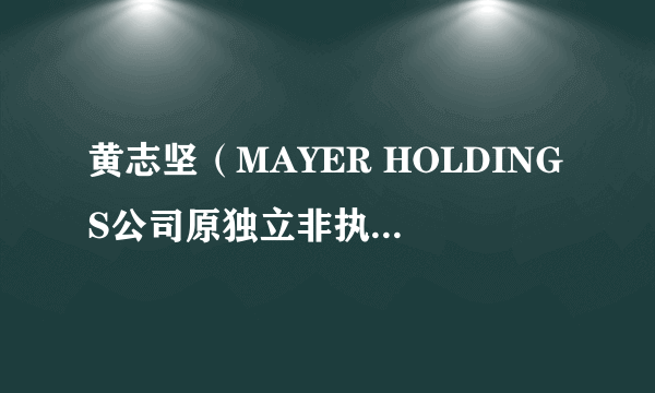 黄志坚（MAYER HOLDINGS公司原独立非执行董事）