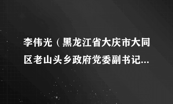 李伟光（黑龙江省大庆市大同区老山头乡政府党委副书记、乡长）