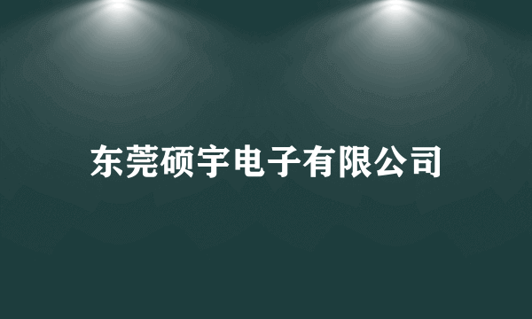 东莞硕宇电子有限公司