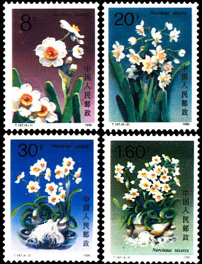 什么是水仙花（1990年发行的特种邮票）