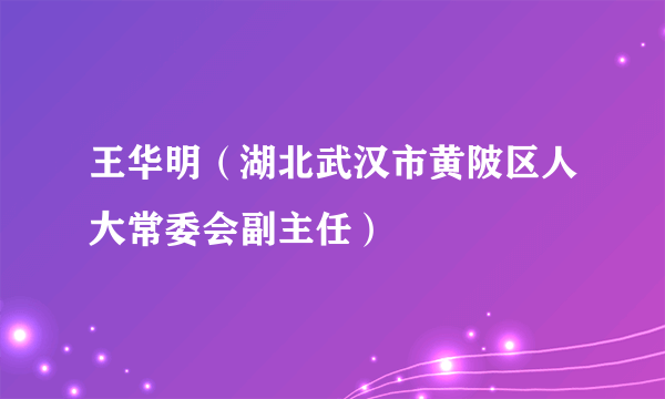 王华明（湖北武汉市黄陂区人大常委会副主任）