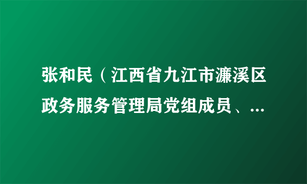 张和民（江西省九江市濂溪区政务服务管理局党组成员、副局长）