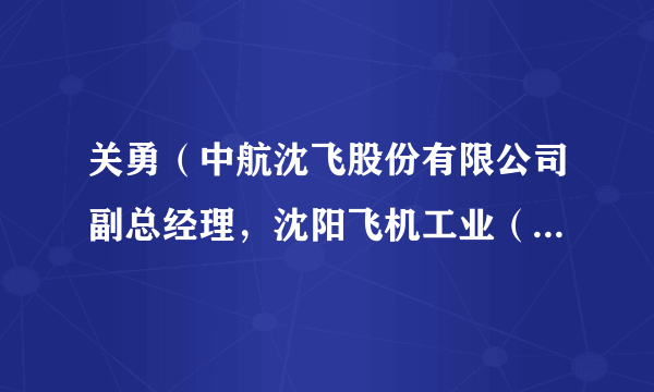 关勇（中航沈飞股份有限公司副总经理，沈阳飞机工业（集团）有限公司副总经理）