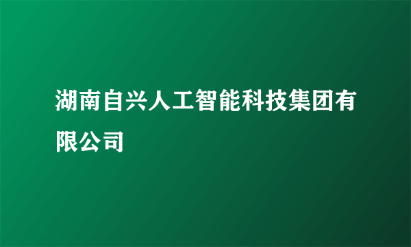 湖南自兴人工智能科技集团有限公司