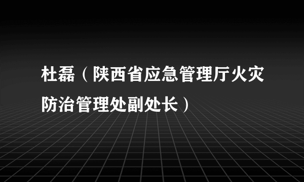 杜磊（陕西省应急管理厅火灾防治管理处副处长）