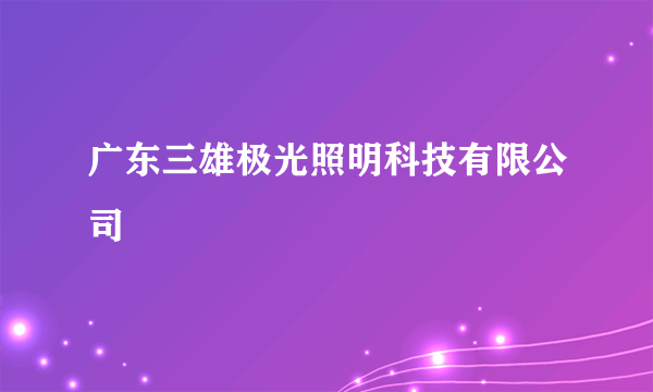 广东三雄极光照明科技有限公司