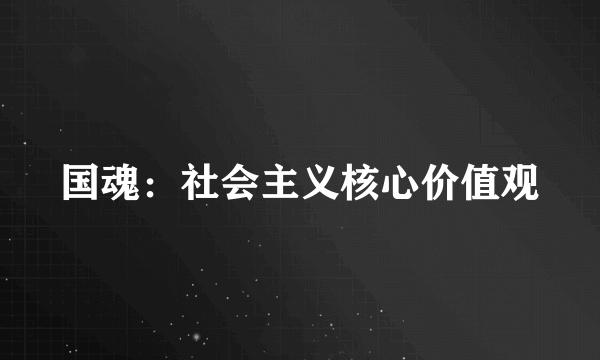 什么是国魂：社会主义核心价值观