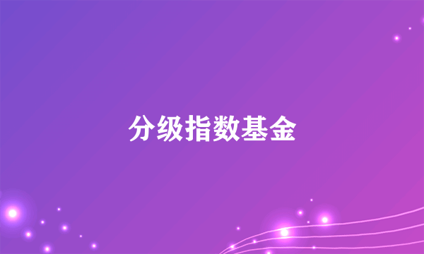 什么是分级指数基金