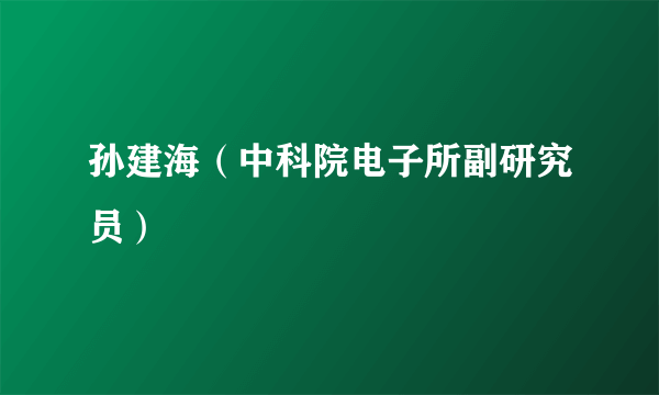 孙建海（中科院电子所副研究员）