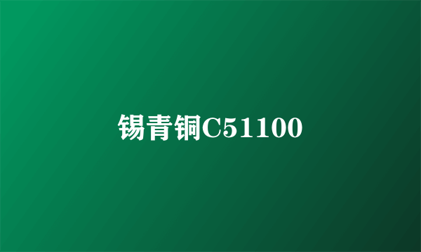 锡青铜C51100