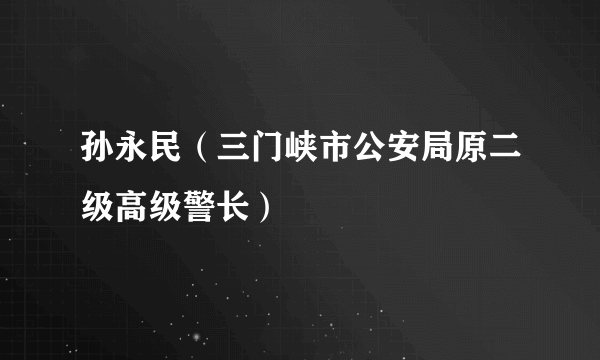 孙永民（三门峡市公安局原二级高级警长）