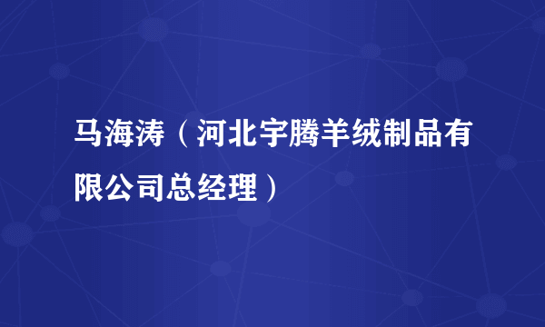 马海涛（河北宇腾羊绒制品有限公司总经理）