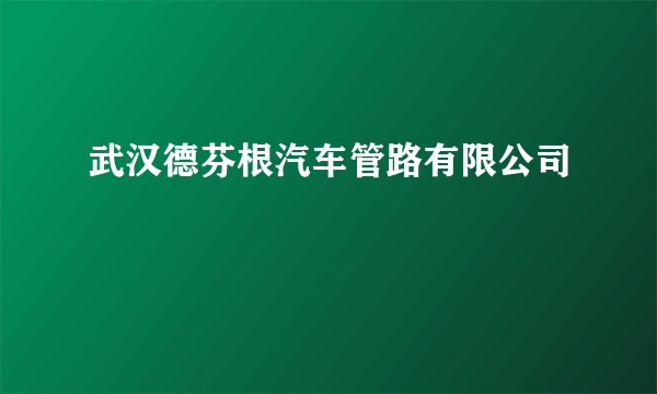 武汉德芬根汽车管路有限公司